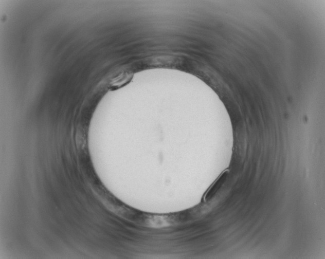 X0000086030091200704201957