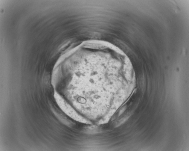 X0000086030092200704201957