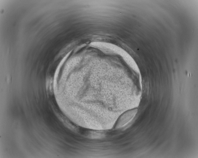 X0000086030094200704201957