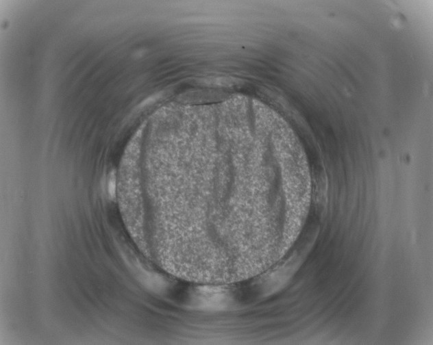 X0000086030095200704201957