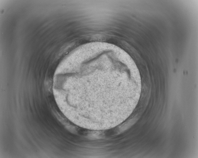 X0000086030096200704201957