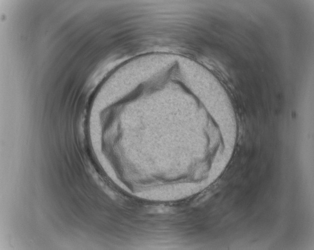 X0000086030098200704201956