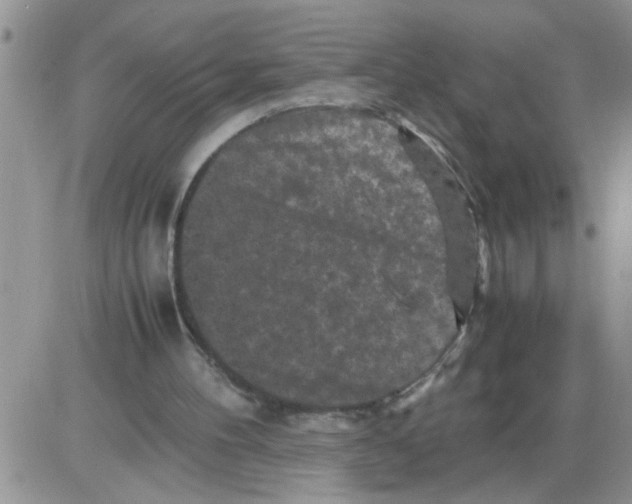 X0000086030100200704201956