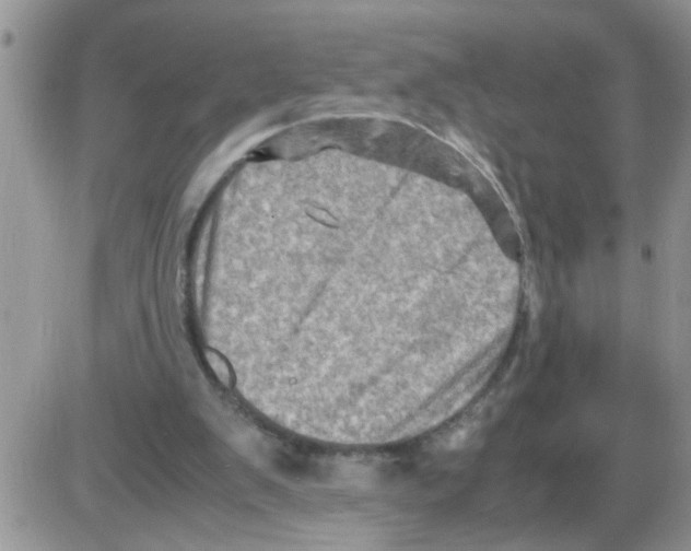 X0000086030103200704201956