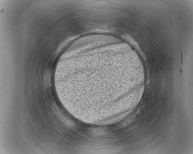 X0000086030106200704201956