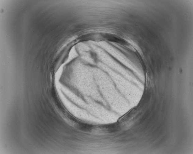 X0000086030109200704201956