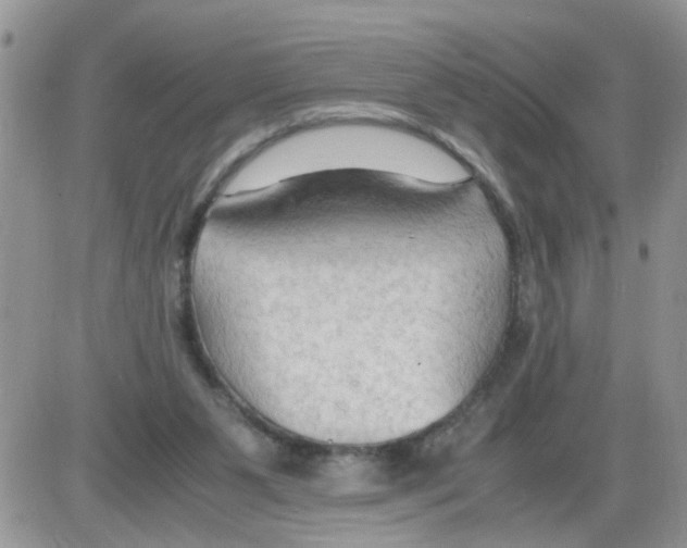 X0000086030111200704201956