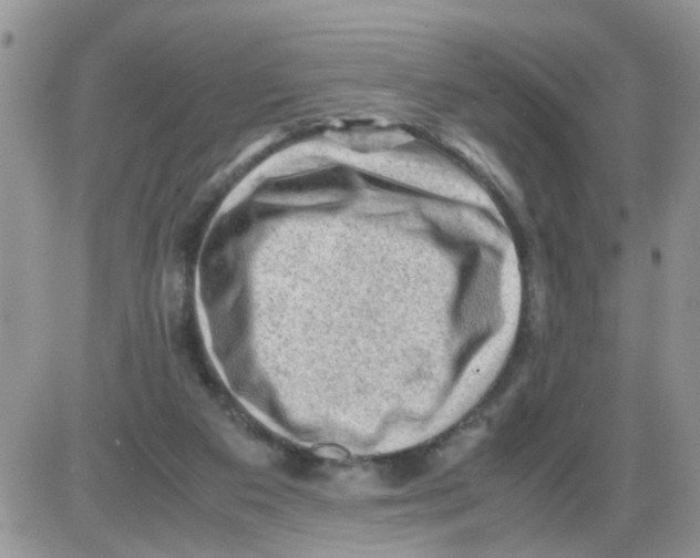 X0000086030113200704201956