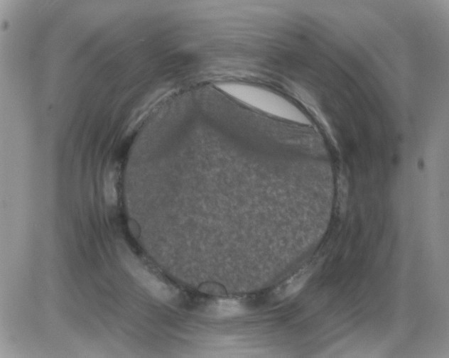 X0000086030114200704201956