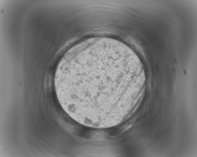 X0000086030115200704201956