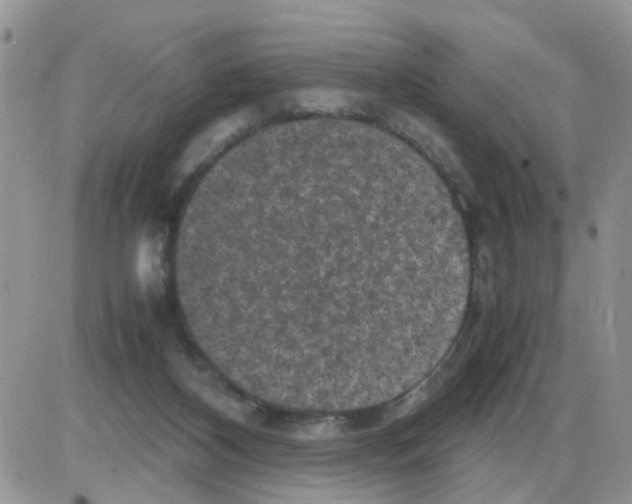 X0000086030116200704201956