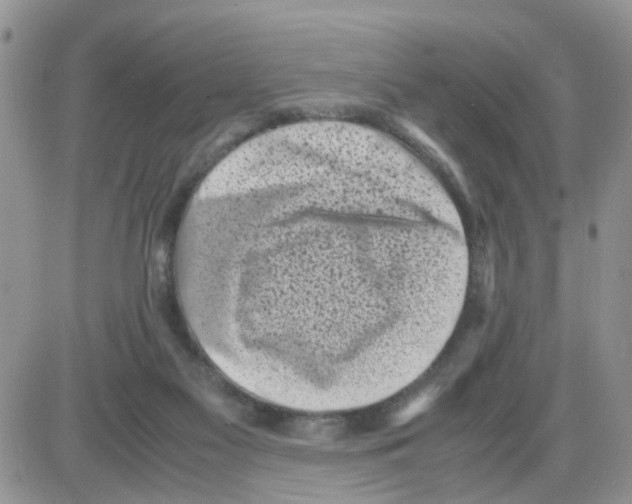 X0000086030117200704201956