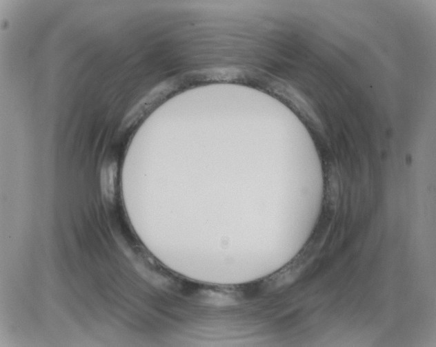 X0000086030118200704201956