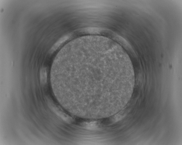 X0000086030120200704201956