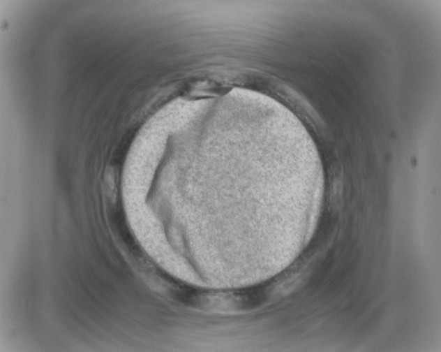 X0000086030121200704201956