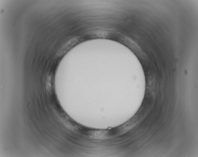 X0000086030122200704201956