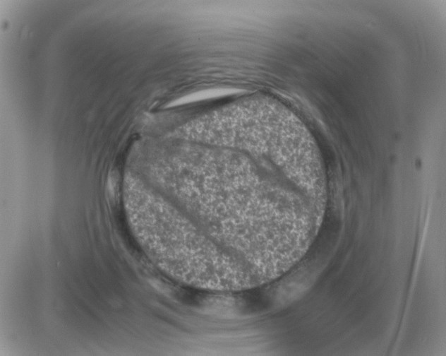 X0000086030123200704201956