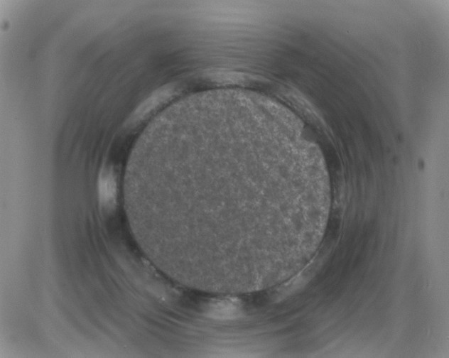 X0000086030124200704201956