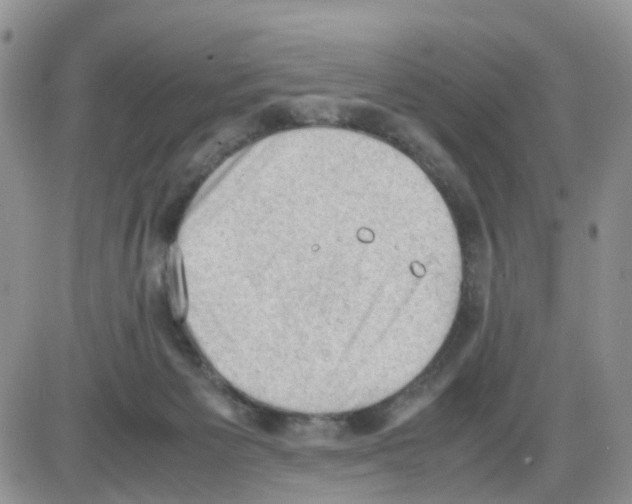 X0000086030125200704201956