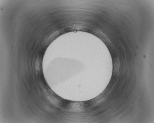 X0000086030126200704201956