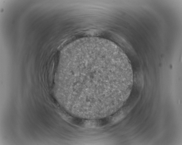 X0000086030127200704201956