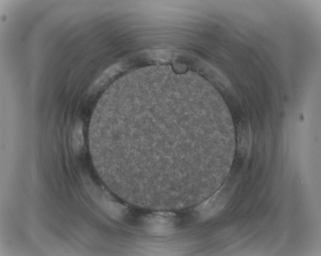 X0000086030128200704201956