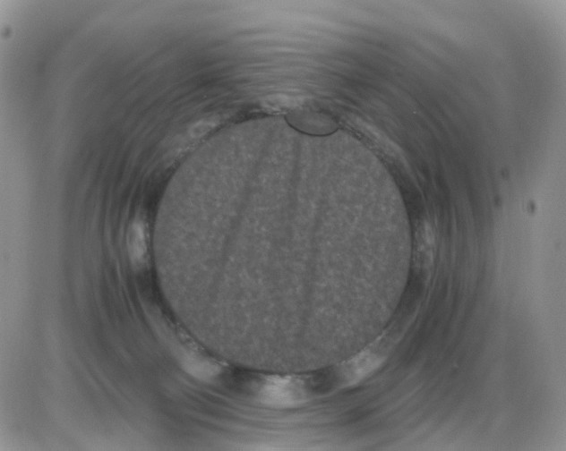 X0000086030130200704201956