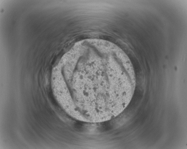 X0000086030131200704201955