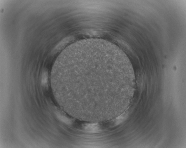 X0000086030132200704201955