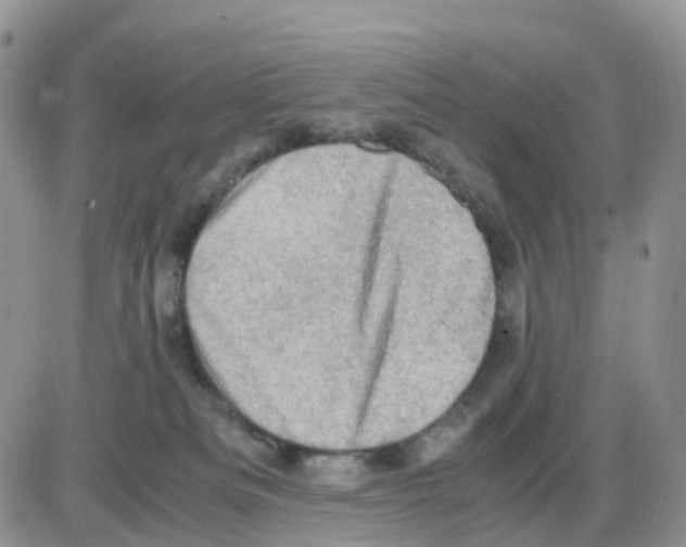 X0000086030133200704201955