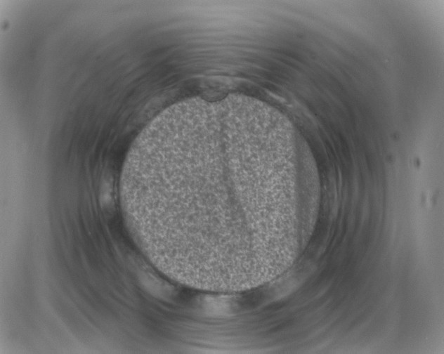 X0000086030134200704201955