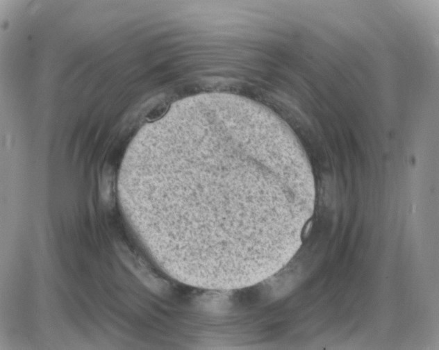 X0000086030138200704201955