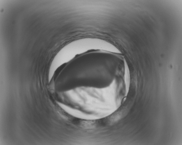 X0000086030139200704201955