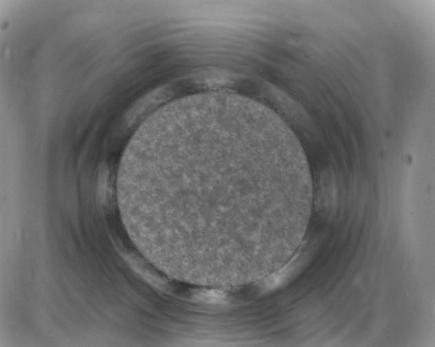 X0000086030140200704201955