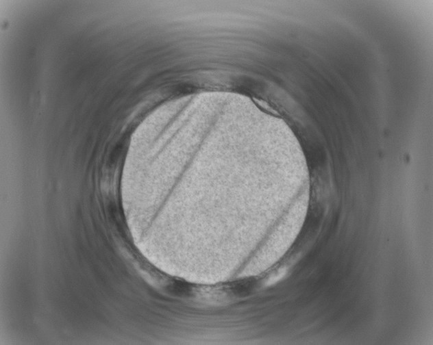 X0000086030141200704201955