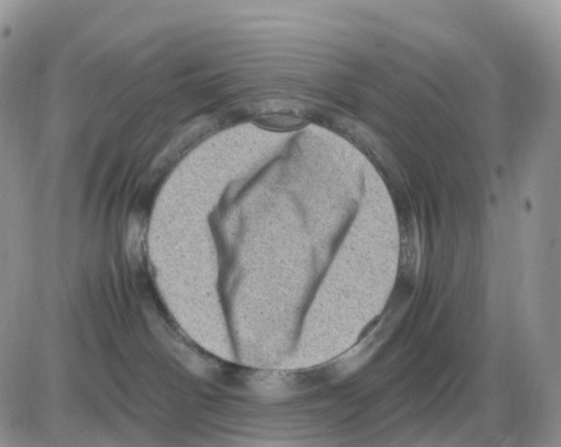 X0000086030142200704201955