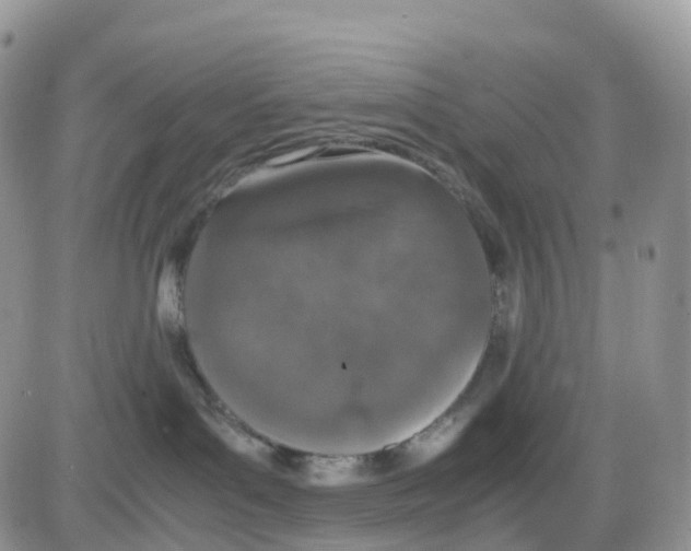 X0000086030143200704201955