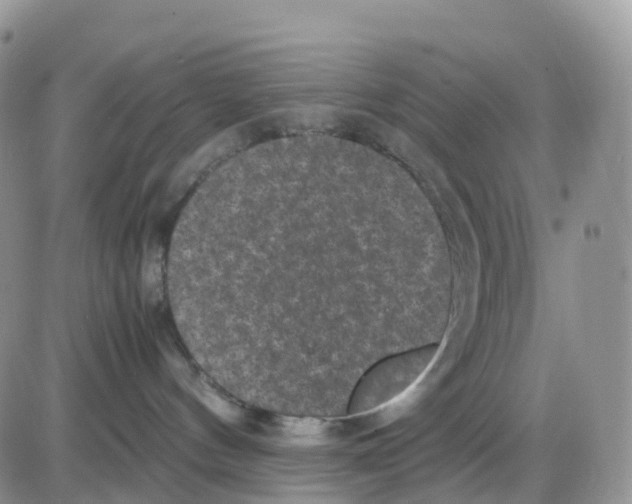 X0000086030144200704201955