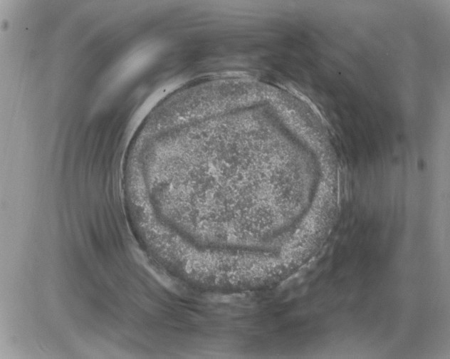 X0000086030147200704201955