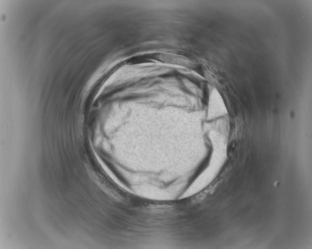 X0000086030150200704201955