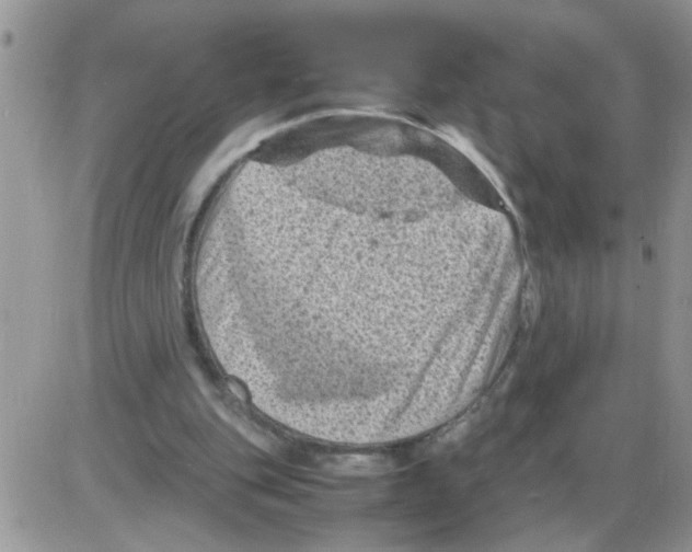 X0000086030151200704201955