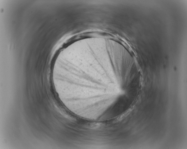 X0000086030152200704201955