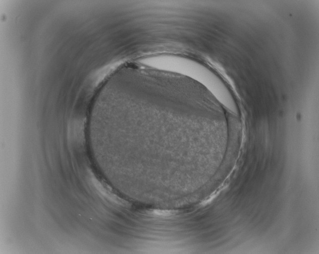 X0000086030154200704201955