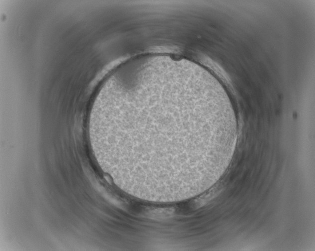 X0000086030155200704201955