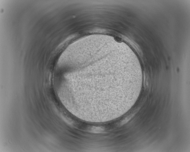 X0000086030157200704201955