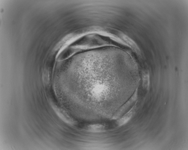 X0000086030158200704201955