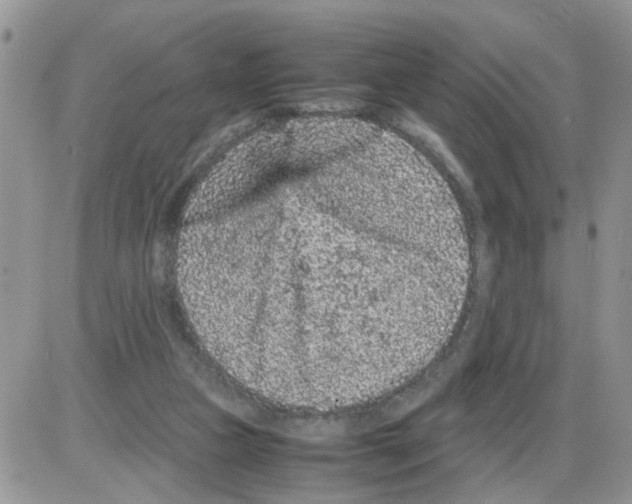 X0000086030161200704201955