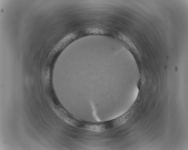 X0000086030163200704201955