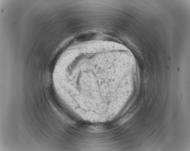 X0000086030164200704201955