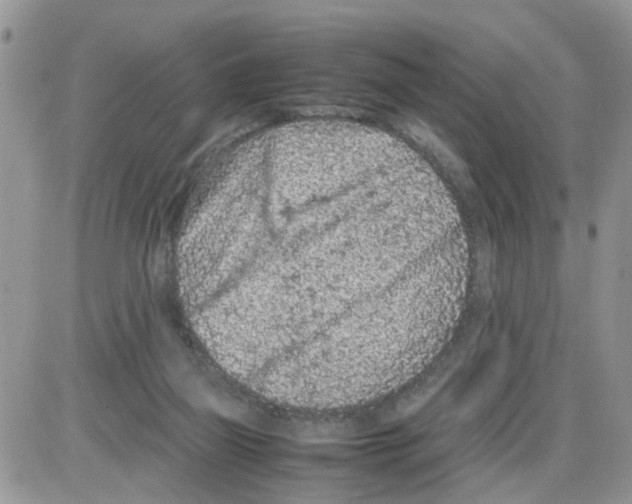 X0000086030165200704201955